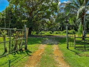 Quiet jungle plot with building platforms and mountain views in Dominical.