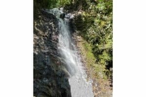 Scenic waterfall surrounded by lush greenery in Dominical, Costa Rica.