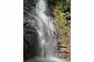Scenic waterfall cascading down rocks in Dominical rainforest, lush greenery surrounds.