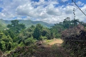 Scenic view of lush Costa Rican farm with mountains and forest under blue sky.