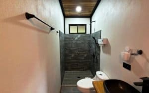 Contemporary bathroom with walk-in shower, toilet, and minimalist decor.