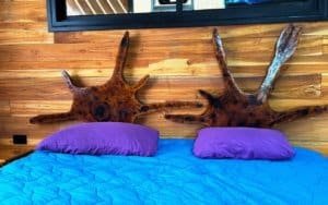 Bedroom with wooden wall and two large antler wall decorations.
