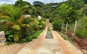 Lush tropical garden pathway with plants and trees in Dominical, Costa Rica.