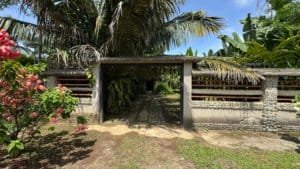 Entrance to a tropical property with palm trees and gate in Costa Rica.