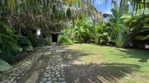 Lush tropical yard with stone pathway and palm trees in Dominical area.