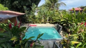 Tropical garden surrounding a rectangular pool with lounge chairs and lush plants.