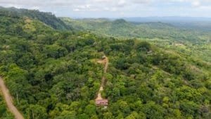 Aerial view of dense green jungle with a winding dirt road leading to a villa nestled among trees in.