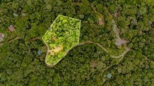 Aerial view of a lush green property with a container home in Dominical, Costa Rica.