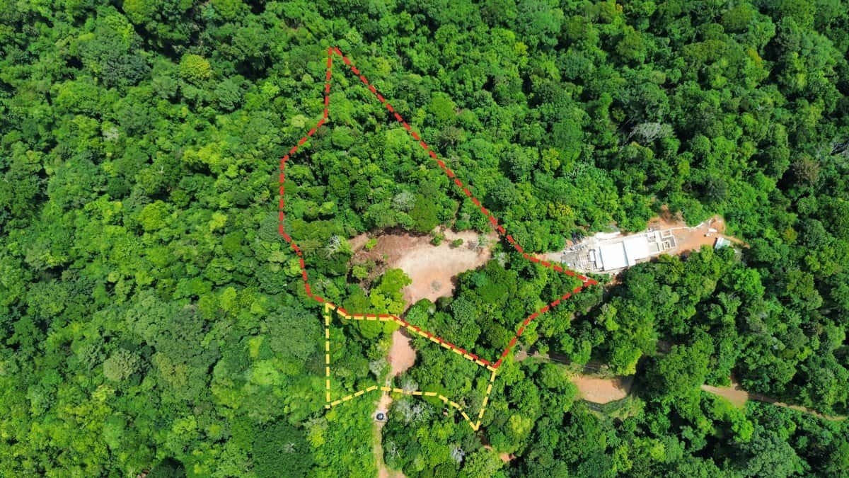 Aerial view of a dense Costa Rica forest with a marked triangular property boundary and access road.