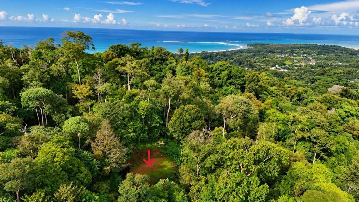 Aerial view of lush forest with a small clearing and distant coastline in Costa Rica.