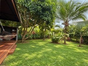 Lush tropical garden with palm trees and a wooden deck near the beach in Dominical.