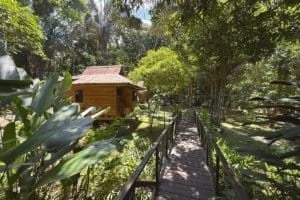 Charming jungle hotel with wooden cabin and lush greenery in Dominical.