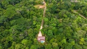 A secluded jungle home surrounded by dense tropical trees with a winding path to the entrance.