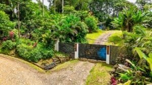 Lush tropical garden with gate and driveway in Dominical Costa Rica.
