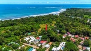Aerial view of a coastal neighborhood with dense trees and a blue ocean.