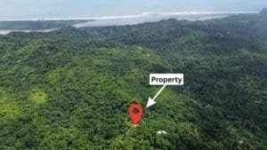 Aerial view of lush green rainforest with a red pin marking property location near coastline.
