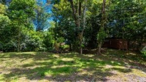 Incredible mountain view land with ocean view, lush trees, and private driveway in Dominical.