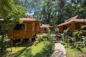 Charming wooden jungle hotel with lush greenery and pathways in Dominical.