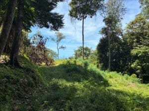 Dominical real estate: lush hillside with trees, grassy slope and distant ocean view under blue sky.