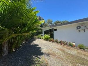 Walkway to a single-story home with white walls, large tropical plants lining the path, and a blue-s.