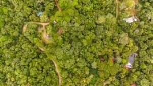 Aerial view of dense forest with walking paths and small structures in Dominical.