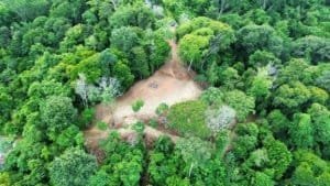 Panoramic view of dense jungle clearing in Costa Rica with surrounding rainforest.