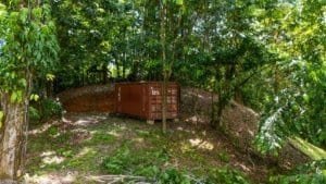 Private wooded land with shipping container and lush greenery.