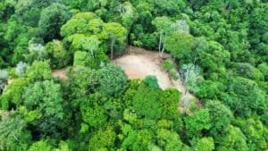 A clearing amid dense tropical forest with panoramic backdrop.