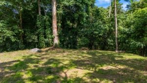 Incredible mountain view land with lush greenery and trees in Dominical.