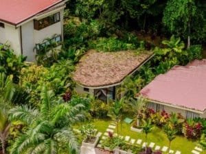 Lush tropical garden surrounding a private villa in Dominical Costa Rica.