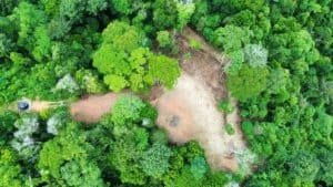 Aerial view of a wooded hilltop clearing surrounded by green trees in Costa Rica.