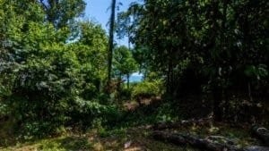 Scenic mountain land with ocean view, lush greenery, and private driveway.