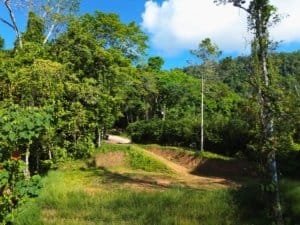 Elevated jungle lot with dirt road, lush trees and blue sky in Dominical, Costa Rica.