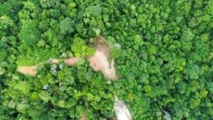 Aerial view of dense green tropical forest with a small dirt trail winding through.