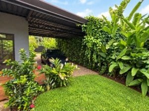 Lush tropical garden with carport and vibrant plants near a cozy home.