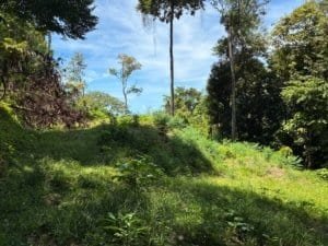 Hilly plot with green vegetation and trees under a blue sky in Dominical, Costa Rica.