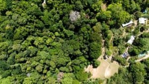 Aerial view of lush green mountain land with private driveway in Dominical.