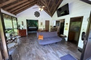 Interior view of a natural jungle home with private pool and modern decor.