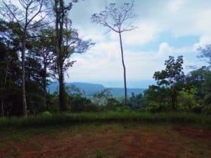 Elevated cleared land with jungle and distant ocean view.