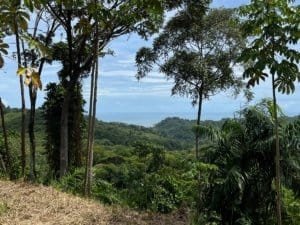 Panoramic ocean view from a ridge in Costa Rica, surrounded by lush tropical trees and green hills.