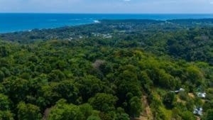 Incredible mountain view land with ocean glimpse and private driveway.