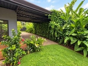 Lush tropical garden with vibrant plants and a covered patio near the beach.