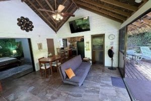 Interior view of a natural jungle home with a sofa, TV, and outdoor deck.