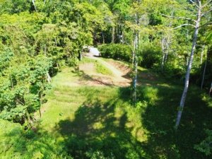 Elevated wooded lot with trees and a clear path in a tropical forest near Dominical, Costa Rica.