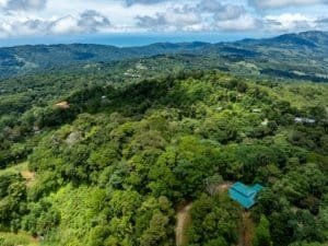 Aerial view of lush green hills and a turquoise-roofed house amid dense trees and distant coastline.