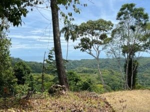 Panoramic ocean view from a ridge top with trees and forest in Costa Rica.