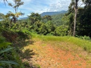 Dominical Real Estate hillside lot with lush tropical forest and distant mountains.
