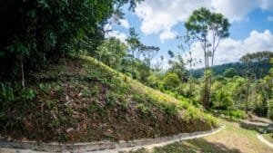 Incredible mountain view land with ocean window, dual building sites, and private driveway.