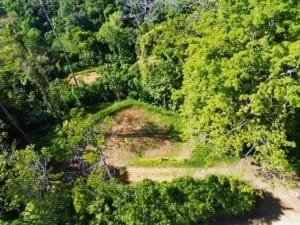 Aerial view of a wooded lot with clear space for building and surrounding lush jungle.