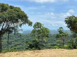 Ridge top lot with distant forest and ocean horizon in Costa Rica.